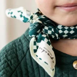 Apaches Small Foulard Manika Tigro - Forest