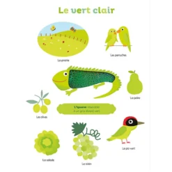 Auzou Mes Premières Couleurs à Toucher