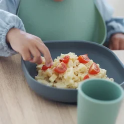 BÉABA Assiette Silicone Ventouse - Mineral