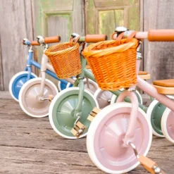 Banwood Tricycle Trike - Forest