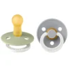 Bibs Lot de 2 Sucettes Rondes Night Colour Sage & Cloud - 6/18 Mois