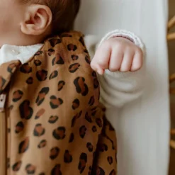 Bonjour Little Gigoteuse Eté Bengal - 0/6 Mois