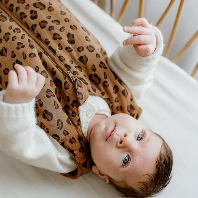 Bonjour Little Gigoteuse Mi-saison Bengal - 0/6 Mois