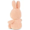 Bon Ton Toys Lapin Miffy Terry Pêche - Petit