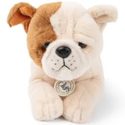 B.T. Chaps Bertha le Bulldog Américain