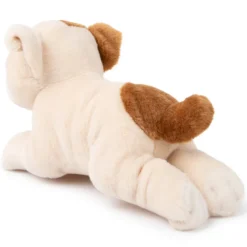 B.T. Chaps Bertha le Bulldog Américain
