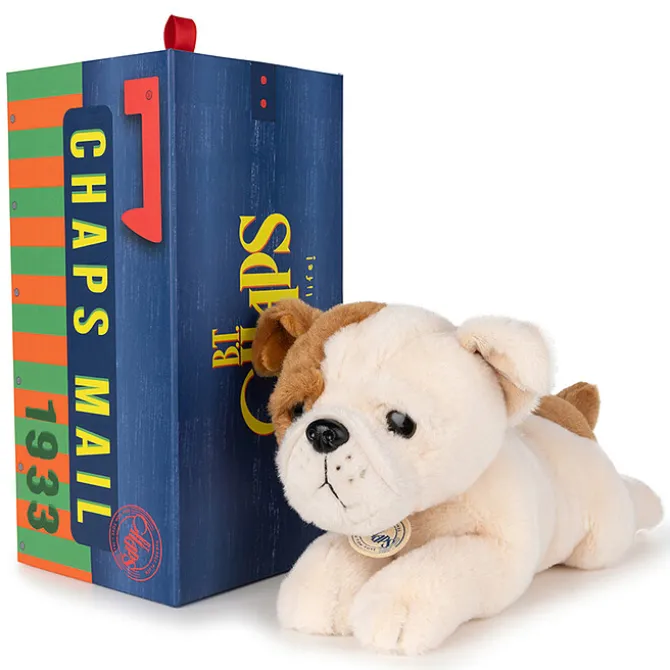B.T. Chaps Bertha le Bulldog Américain