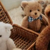 B.T. Chaps Norman l'Ours Chic