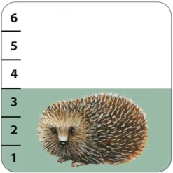 Djeco Jeux de Cartes Batanimo