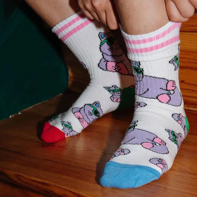 Hello Hossy Lot de 3 Paires de Chaussettes Cats - 22/24