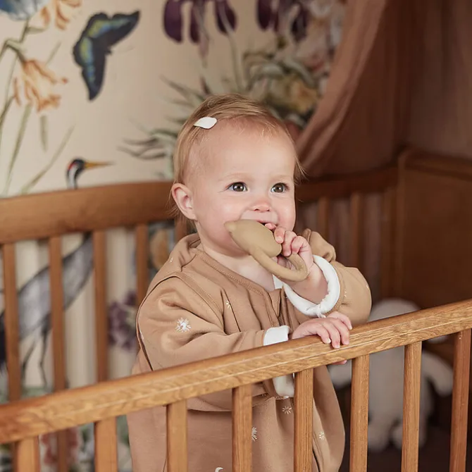 Jollein Anneau de Dentition Teddy Bear - Biscuit