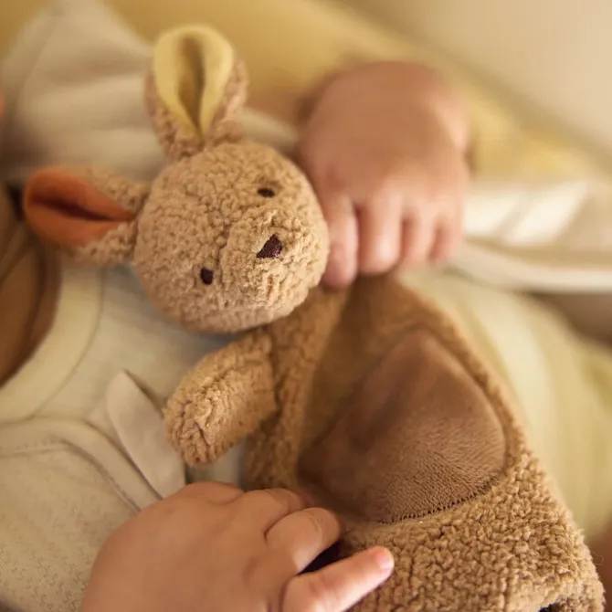 Jollein Doudou Attache Tétine Kangaroots