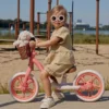 Lionelo Draisienne Alex Plus - Rose