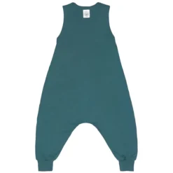 LÄSSIG Combinaison pour Dormir Chien Bleu Vert - 4/6 Ans
