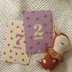 Ma petite vie Cartes Etapes - Mes 12 Premiers Mois