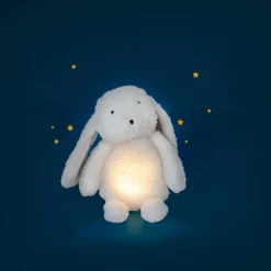 Moulin Roty Lapin Lumineux - Puce & Pilou