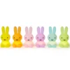 Mr Maria Miffy Bundle of Light - Colorful
