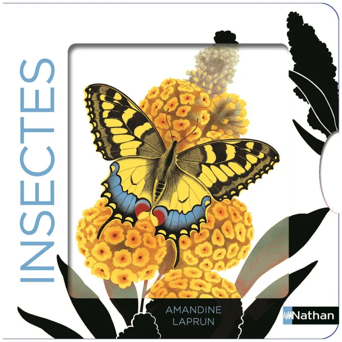 Nathan Editions Les Belles Couleurs - Insectes