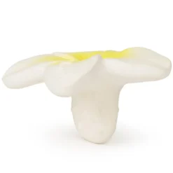 Oli & Carol Mini Jouet de Dentition Hawaï la Fleur