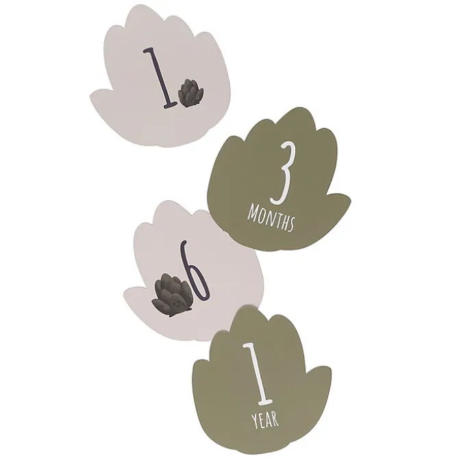 Petit Artichaut Coffret Naissance - Petit Artichaut