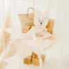 Pleine Lune Doudou Bola Renard