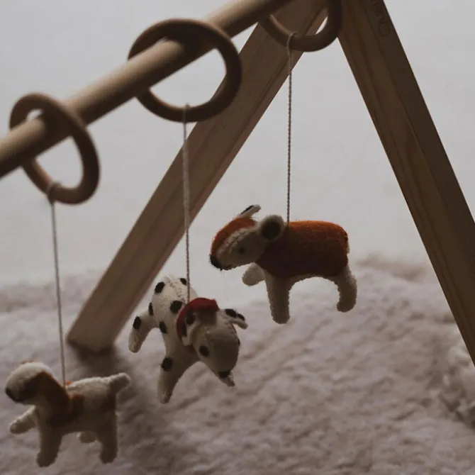 Quax Lot de 5 Jouets à Suspendre - Chiens