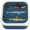 Rex London Lot de 3 Boîtes - Requins