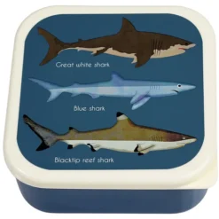 Rex London Lot de 3 Boîtes - Requins