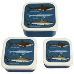 Rex London Lot de 3 Boîtes - Requins