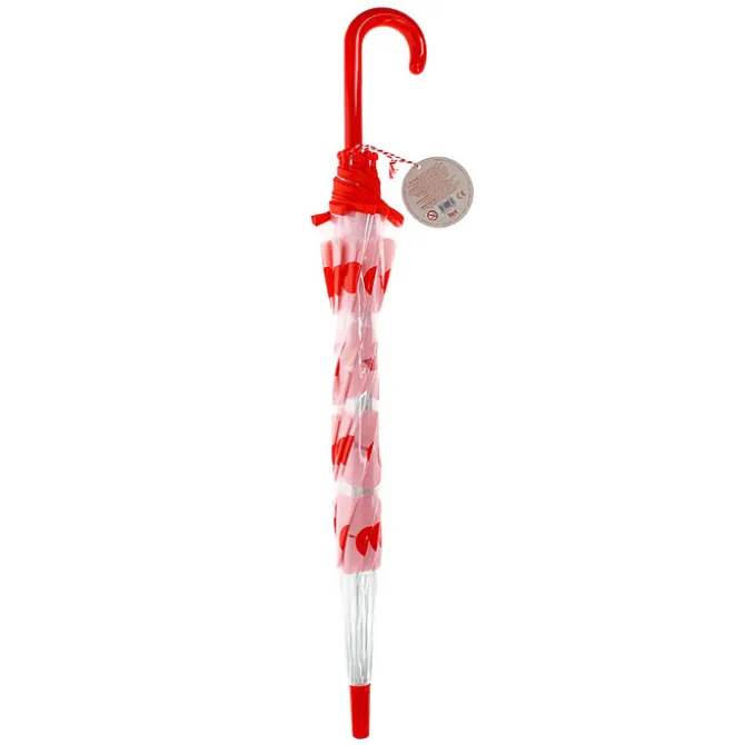 Rex London Parapluie Transparent - Pink Daisy
