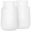 Suavinex Lot de 2 Poches de Rechange Biberon Anti-Colique Zerø.Zerø - 270 ml