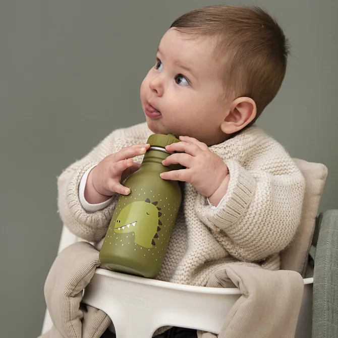 Trixie Baby Gourde Mr. Dino - 350 ml